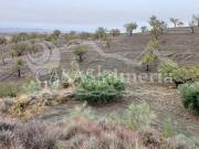 Terreno/Finca Rústica en venta en Los Pardos, Almería