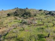 Terreno/Finca Rústica en venta en Málaga, Málaga Costa...