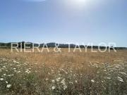 Terreno/Finca Rústica en venta en Manacor, Mallorca