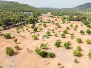 Terreno/Finca Rústica en venta en Manacor, Mallorca