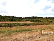 Terreno/Finca Rústica en venta en Manacor, Mallorca