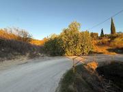 Terreno/Finca Rústica en venta en Martos, Jaén
