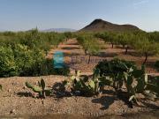 Terreno/Finca Rústica en venta en Mazarrón, Murcia Costa...