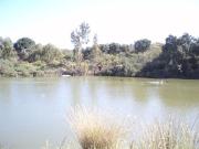 Terreno/Finca Rústica en venta en Mijas, Málaga Costa...