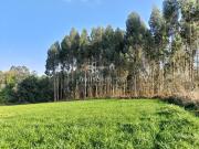 Terreno/Finca Rústica en venta en Miño, A Coruña Rías Altas