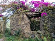 Terreno/Finca Rústica en venta en Moclinejo, Málaga...