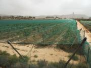 Terreno/Finca Rústica en venta en Monforte del Cid, Alicante