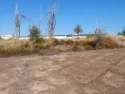 Terreno/Finca Rústica en venta en Muchamiel / Mutxamel,...