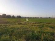 Terreno/Finca Rústica en venta en Murcia, Murcia