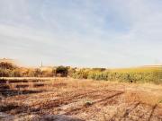 Terreno/Finca Rústica en venta en Murcia, Murcia