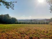 Terreno/Finca Rústica en venta en Narón, A Coruña Rías Altas