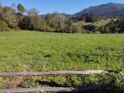 Terreno/Finca Rústica en venta en Nava, Asturias