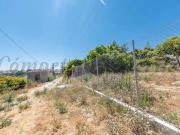 Terreno/Finca Rústica en venta en Nerja, Málaga Costa...