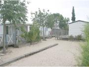 Terreno/Finca Rústica en venta en Oliva, Valencia Costa...