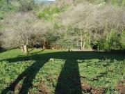 Terreno/Finca Rústica en venta en Oviedo, Asturias