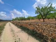 Terreno/Finca Rústica en venta en Pinoso, Alicante