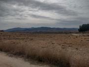 Terreno/Finca Rústica en venta en Pinoso, Alicante