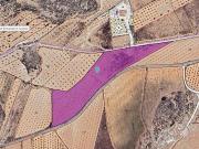 Terreno/Finca Rústica en venta en Pinoso, Alicante