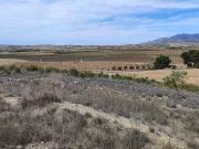 Terreno/Finca Rústica en venta en Pinoso, Alicante