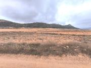 Terreno/Finca Rústica en venta en Pinoso, Alicante