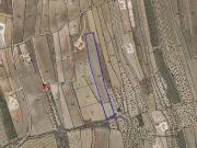 Terreno/Finca Rústica en venta en Pinoso, Alicante