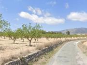 Terreno/Finca Rústica en venta en Pinoso, Alicante