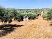 Terreno/Finca Rústica en venta en Riofrío, Granada