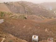 Terreno/Finca Rústica en venta en Salobreña, Granada...