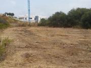 Terreno/Finca Rústica en venta en Sotogrande, Cádiz...