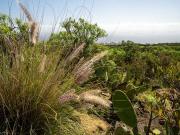 Terreno/Finca Rústica en venta en Santa Cruz de...