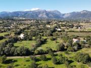Terreno/Finca Rústica en venta en Selva, Mallorca