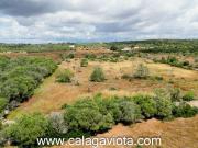 Terreno/Finca Rústica en venta en Ses Salines, Mallorca