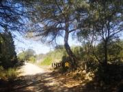 Terreno/Finca Rústica en venta en Tarragona, Tarragona...