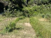 Terreno/Finca Rústica en venta en Tivissa, Tarragona Terreno/Finca Rústica en venta en Tivissa, Tarragona