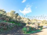 Terreno/Finca Rústica en venta en Torrox, Málaga Costa...