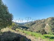 Terreno/Finca Rústica en venta en Torrox, Málaga Costa...