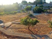 Terreno/Finca Rústica en venta en Tortosa, Tarragona