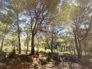Terreno/Finca Rústica en venta en Totana, Murcia