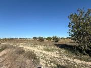 Terreno/Finca Rústica en venta en Valverde, Alicante...