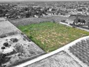 Terreno/Finca Rústica en venta en Valverde, Alicante...