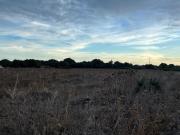 Terreno/Finca Rústica en venta en Vejer de la Frontera,...