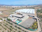 Terreno/Finca Rústica en venta en Vélez Málaga, Málaga...