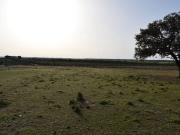 Terreno/Finca Rústica en venta en Villablanca, Huelva