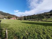 Terreno/Finca Rústica en venta en Villaviciosa, Asturias...