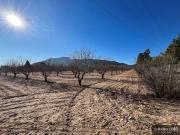 Terreno/Finca Rústica en venta en Villena, Alicante