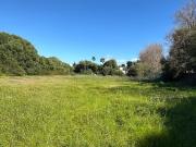 Terreno/Finca Rústica en venta en Zahora, Cádiz Costa de...