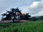 TERRENO/LOTE BANDEIRANTES BELO HORIZONTE