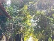 TERRENON EN BENTA BELEM TULTITLAN