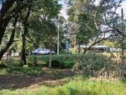 Terrenona pie de la carretera federal México cuernavaca