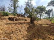 Terreno/quinta com pequena edificao